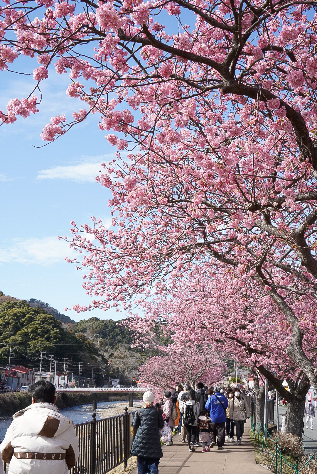 小学校付近